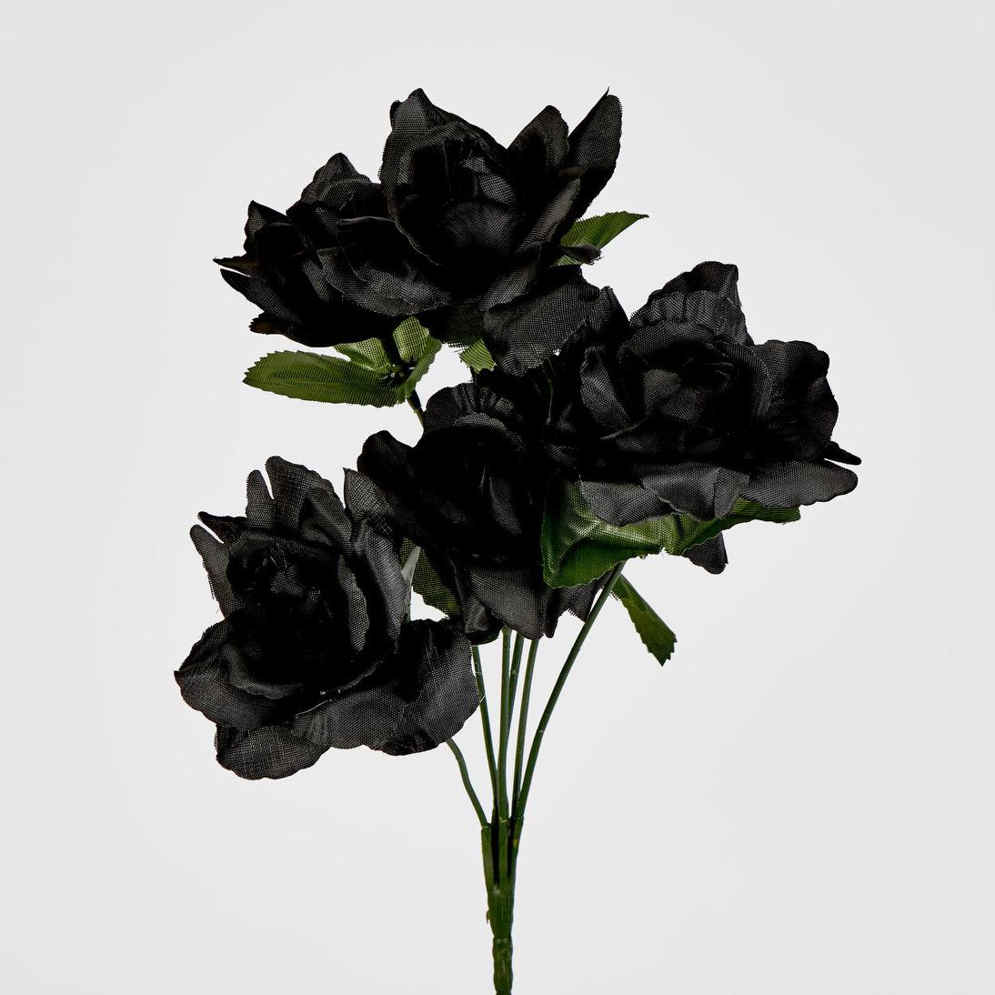 Rose Bush Asstd E Box of 60