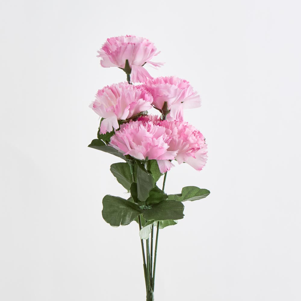 Carnation Bush Asstd Box of 60