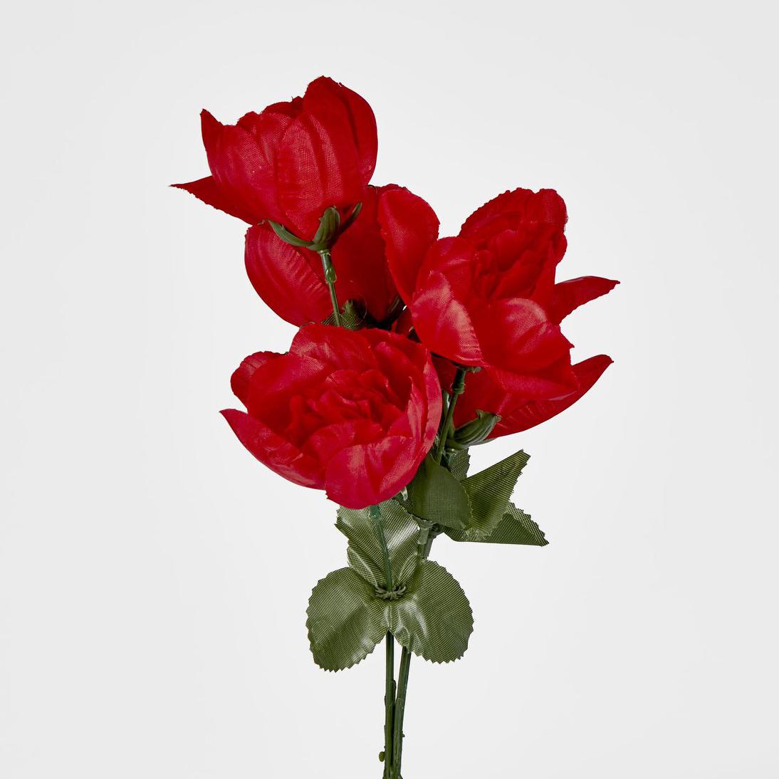 Peony Bush Asstd Box of 60