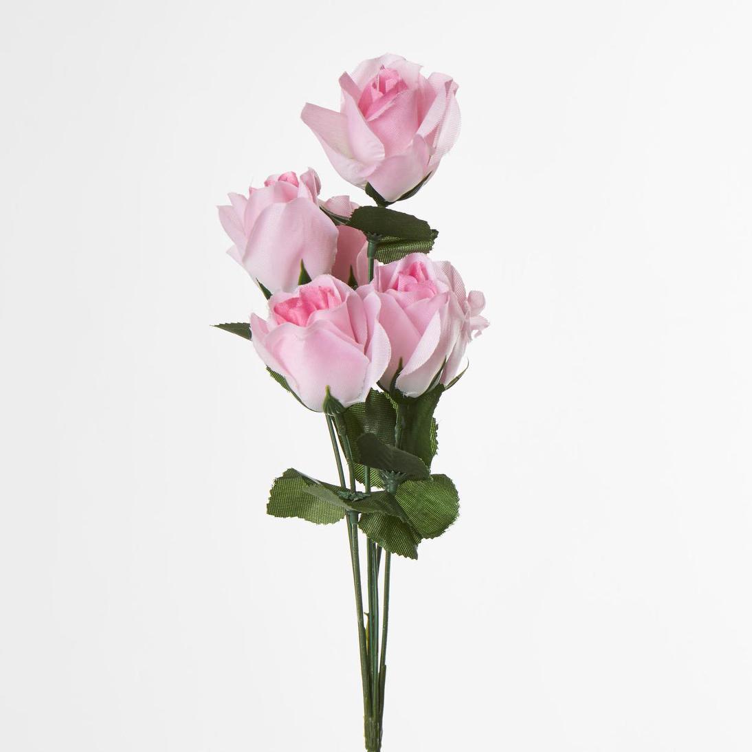 Rosebud Bush Asstd Box of 60
