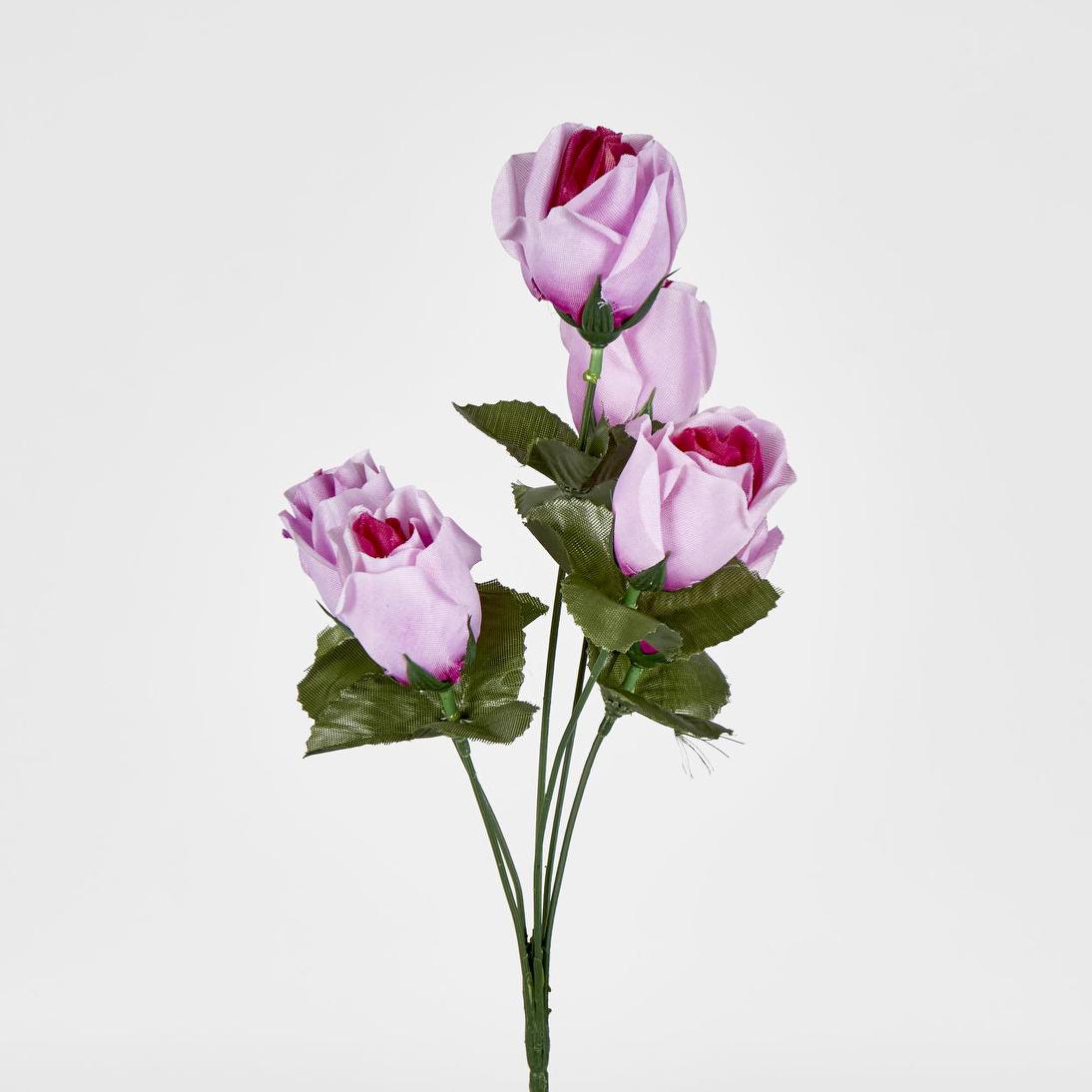 Rosebud Bush Multi Box of 60