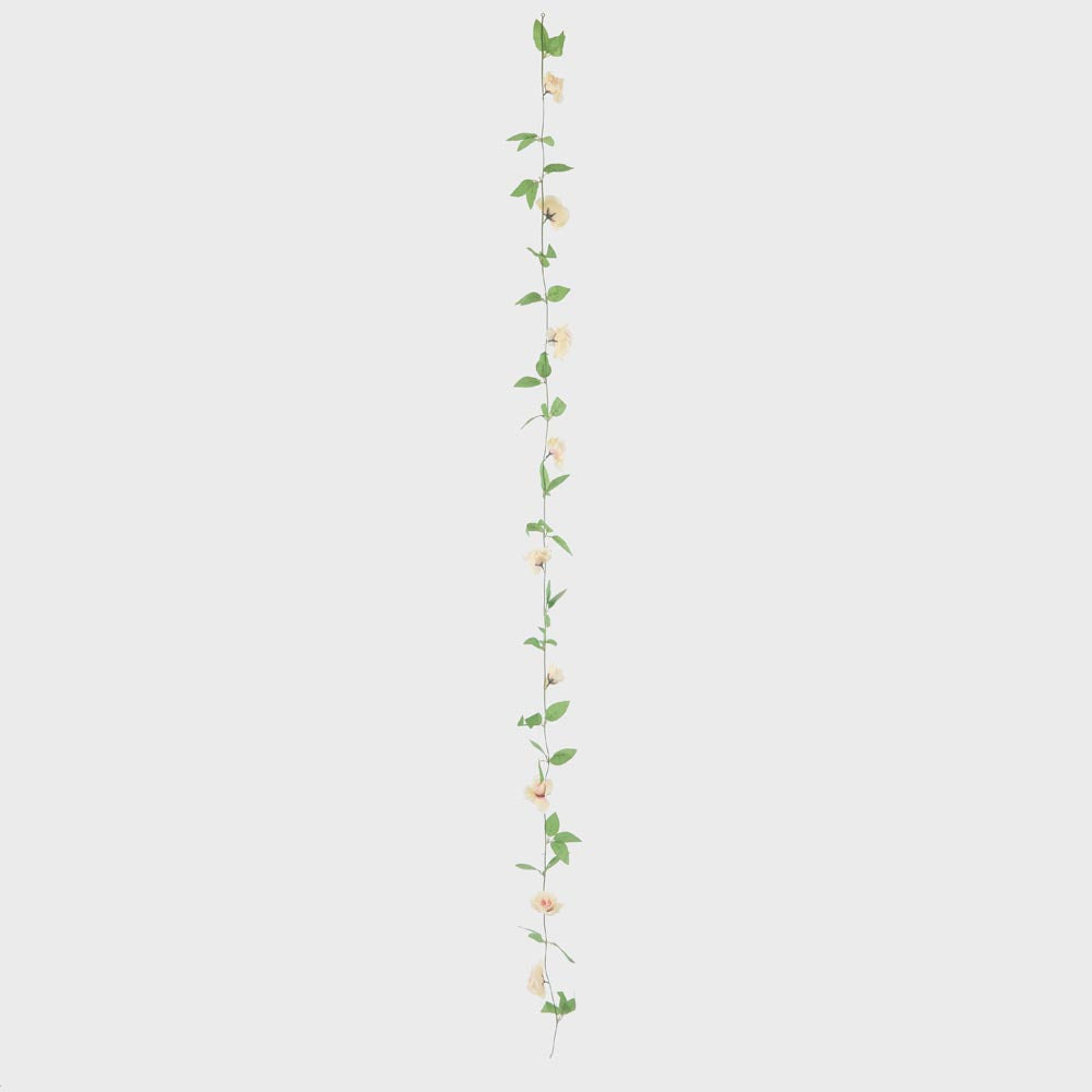 Rose Garland Cream