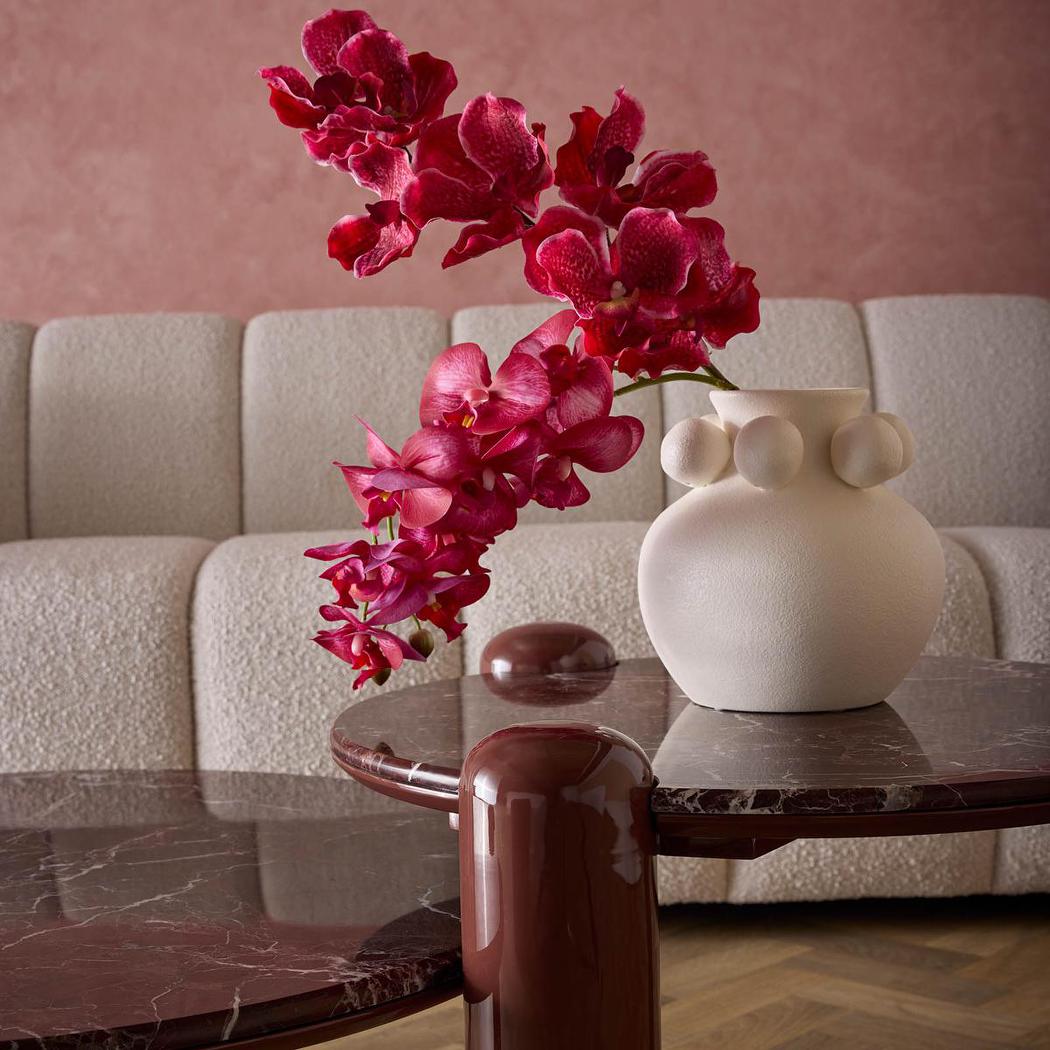 Phalaenopsis Orchid Red