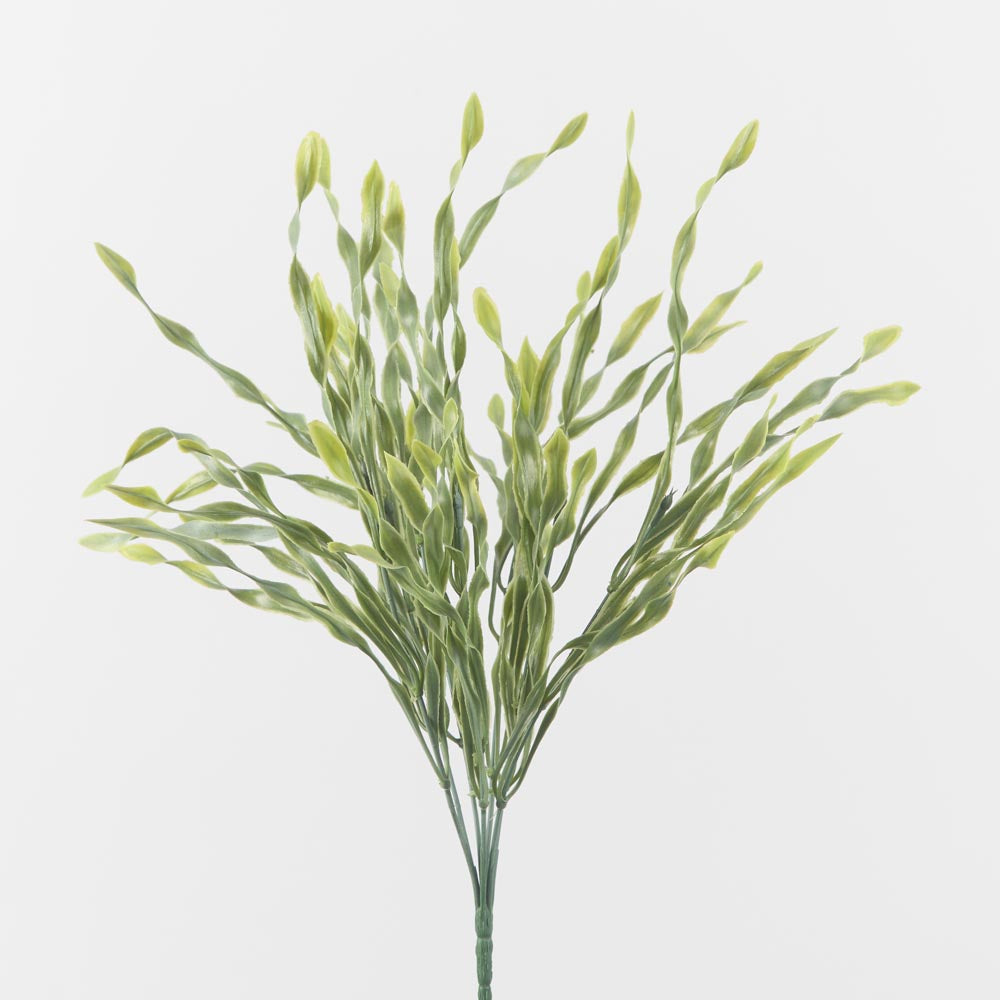 Wavy Grass Green