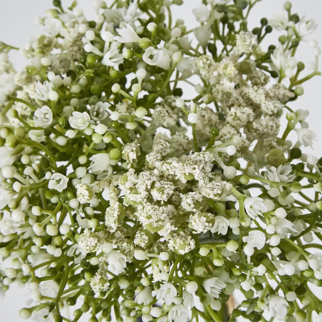 Baby's Breath Bouquet White