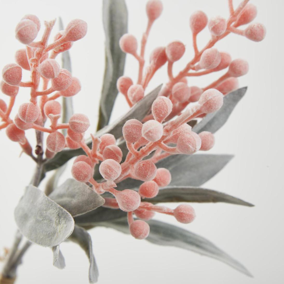 Wattle Bundle Orange