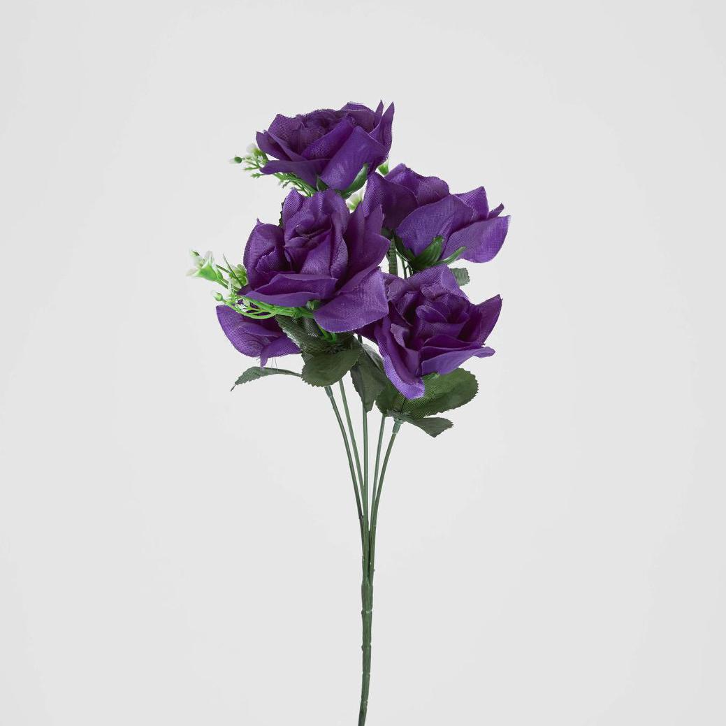 Rose Bush Asstd Box of 60