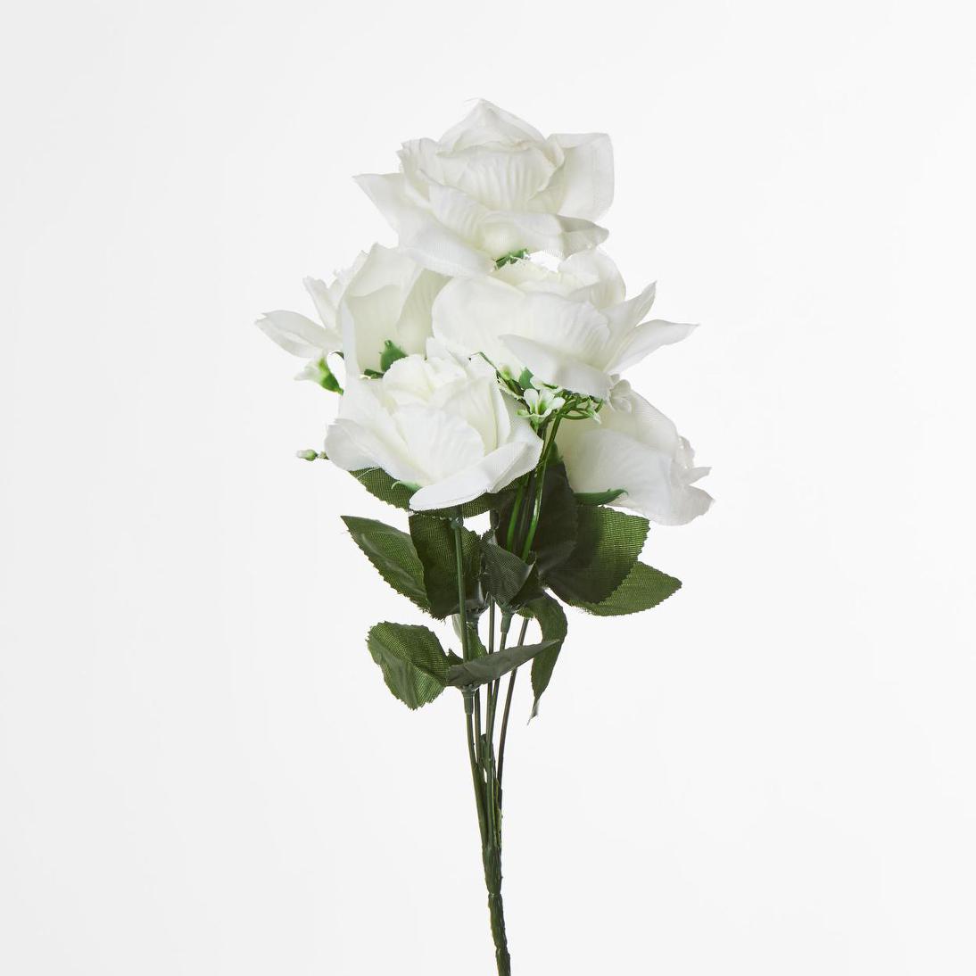 Rose Bush B Asstd Box of 60