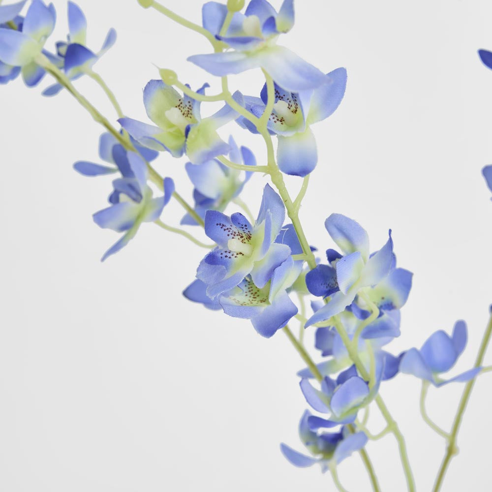 Dendrobium Spray Blue