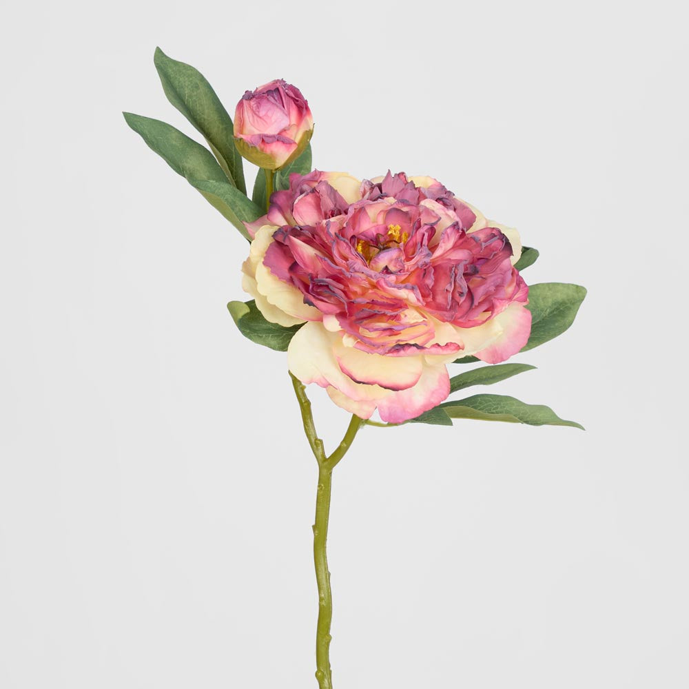 Peony Stem With Bud 48cm Burgundy