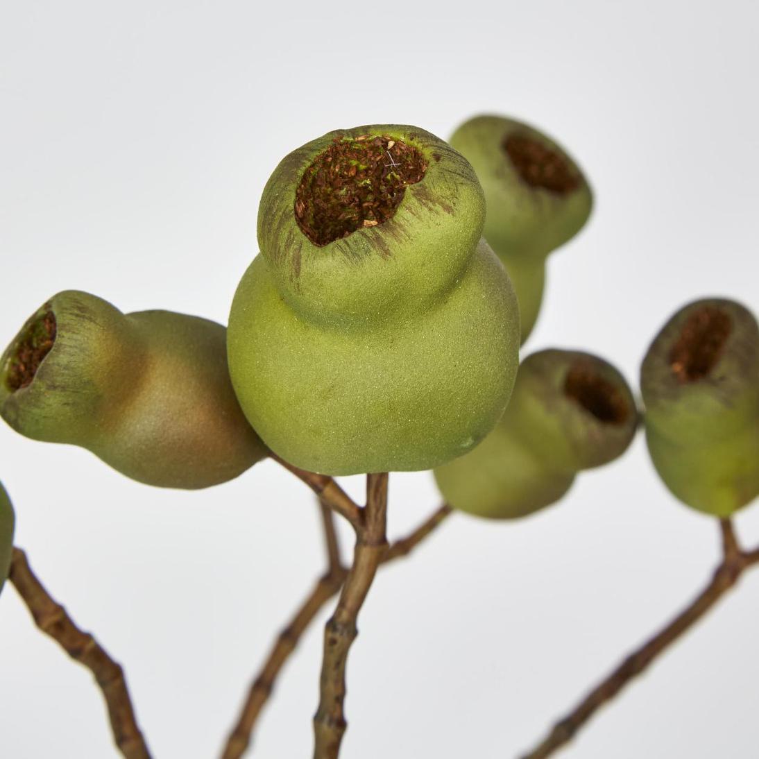 Gumnut Spray Green