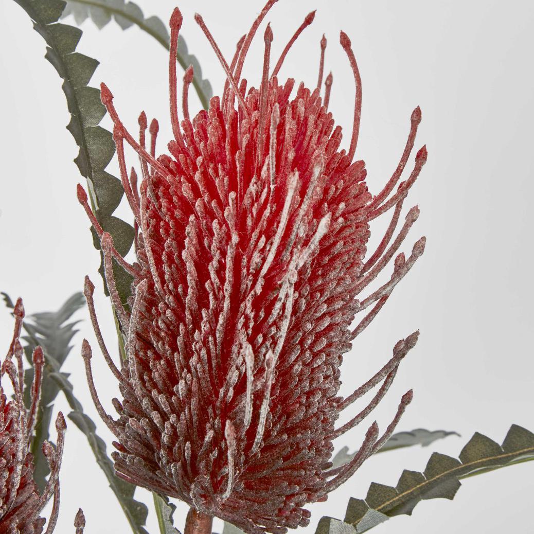 Banksia Double Spray Red