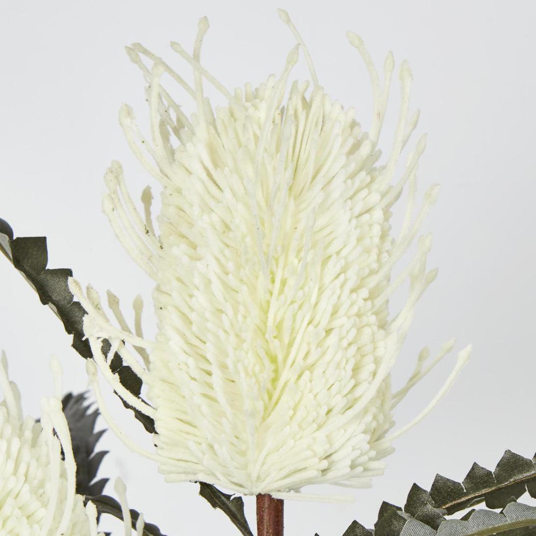 Banksia Double Spray White