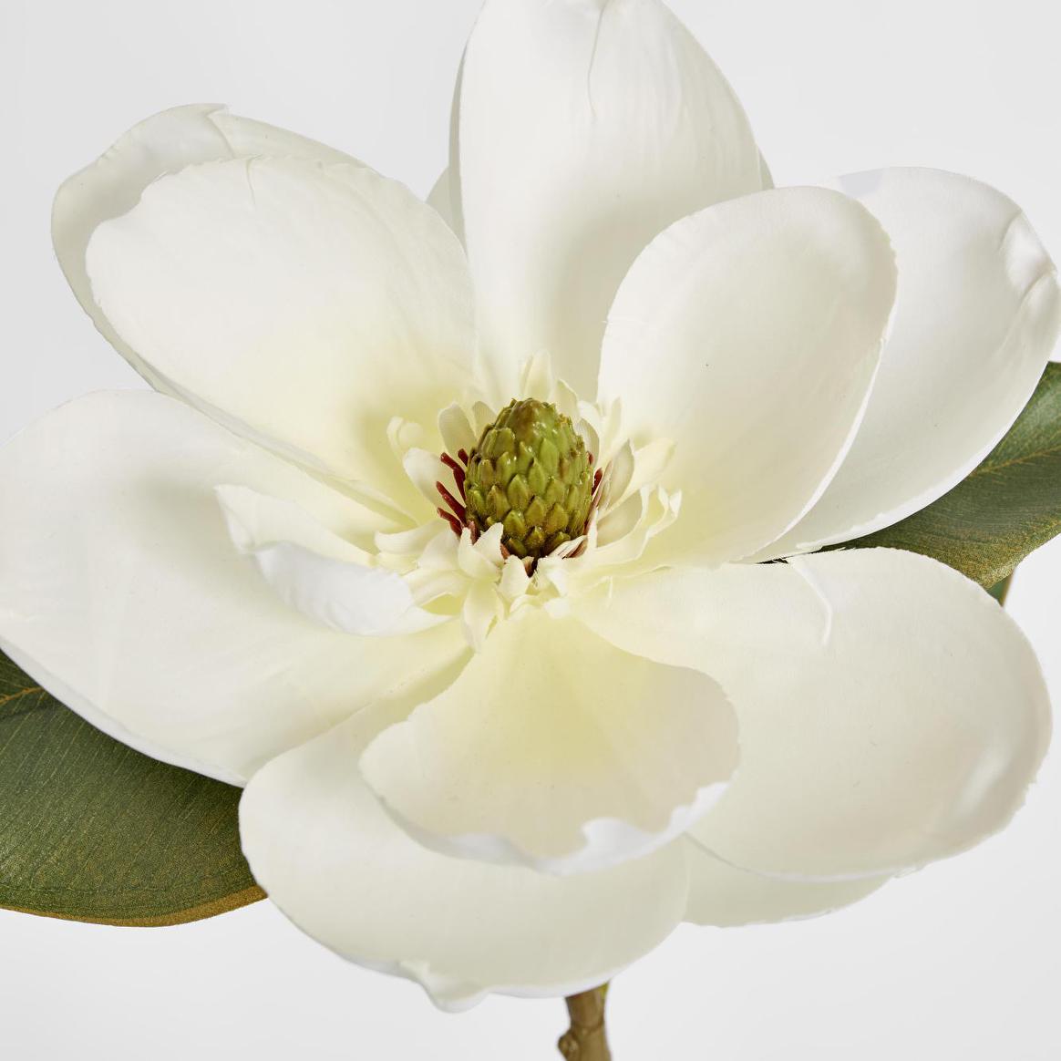 Magnolia Stem 74cm White