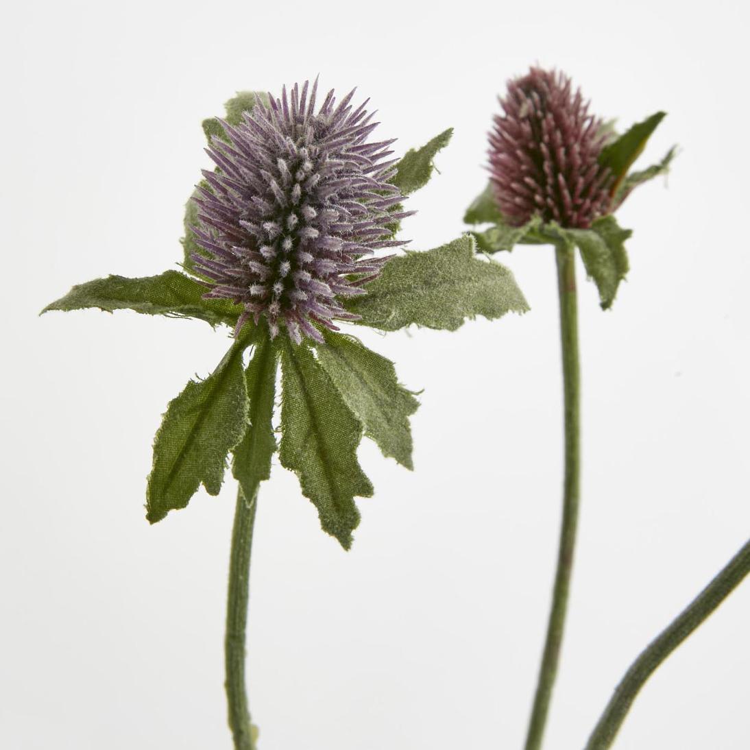 Thistle Spray Purple