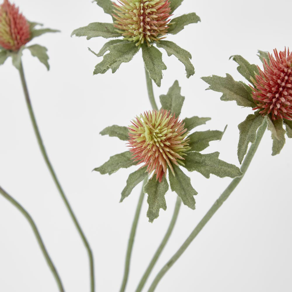 Thistle Spray Red