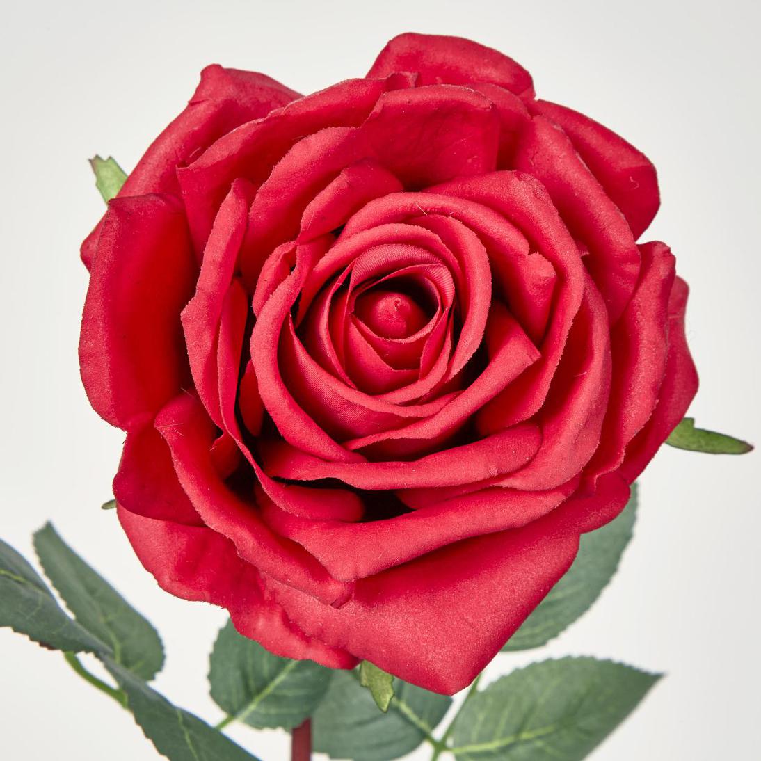 Bella Rose Real Touch 68cm Red