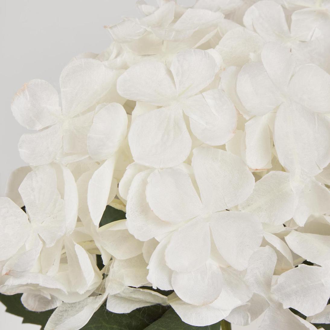 Hydrangea 62cm White