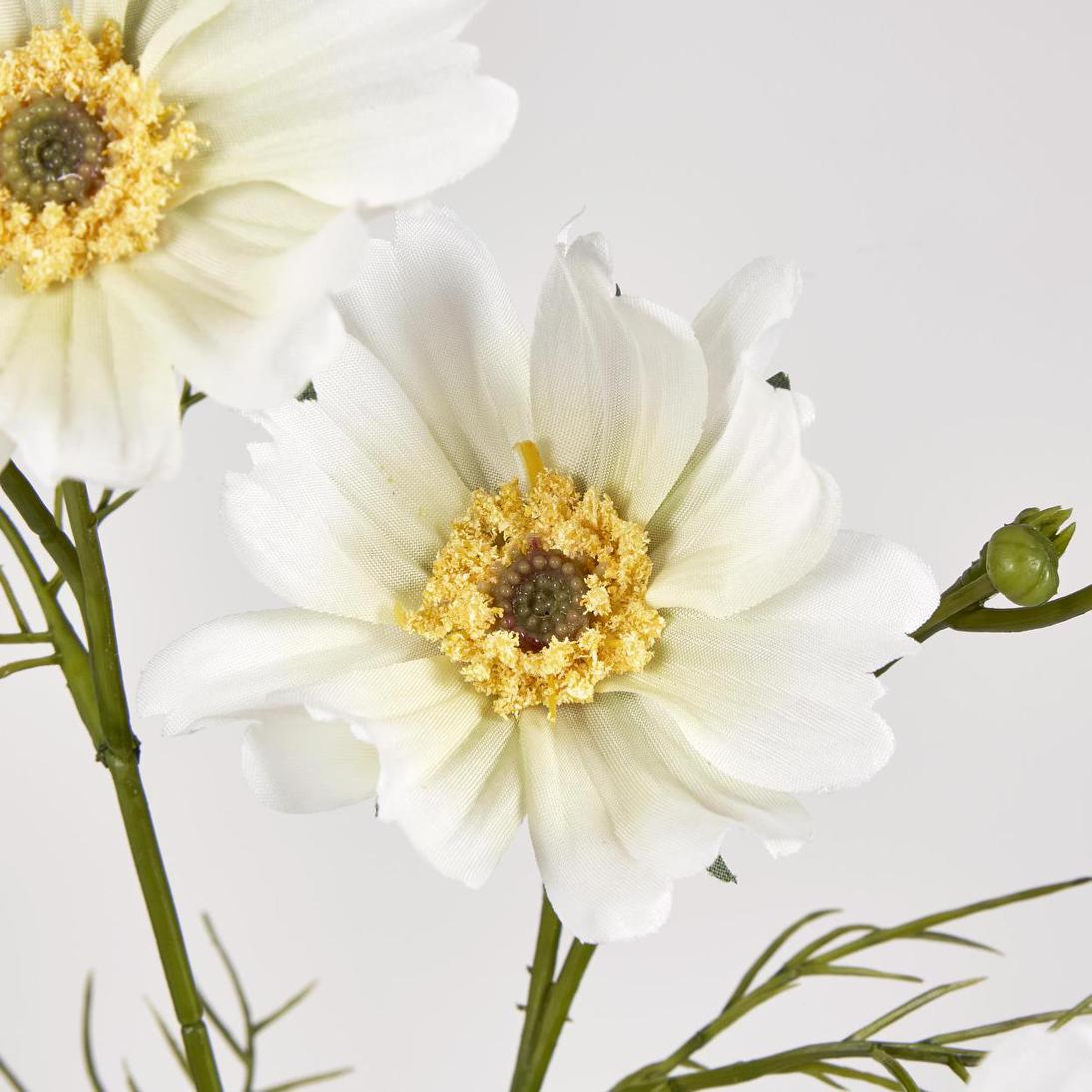 Cosmos Spray 64cm White