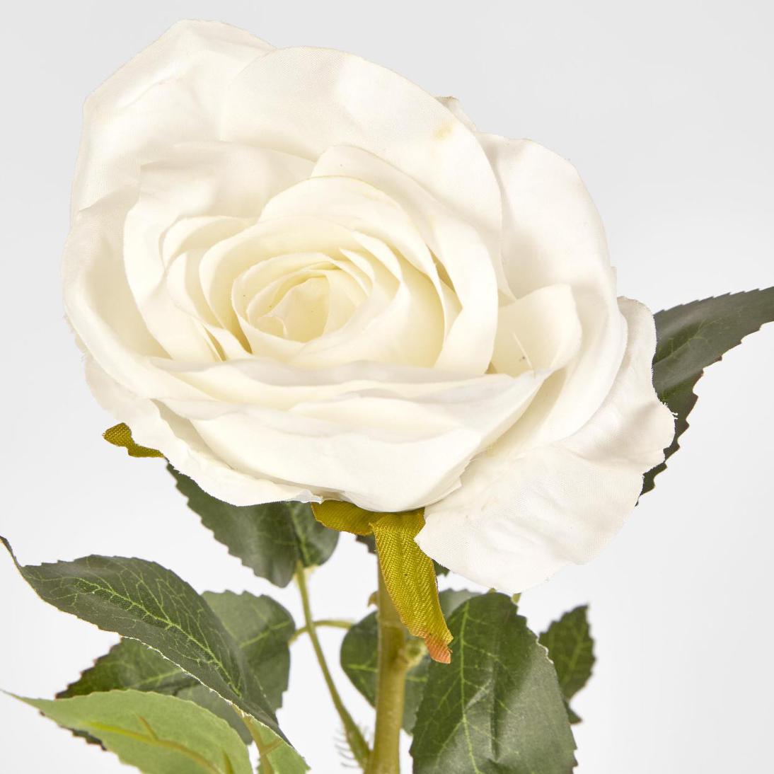 Open Rose Stem 68cm White
