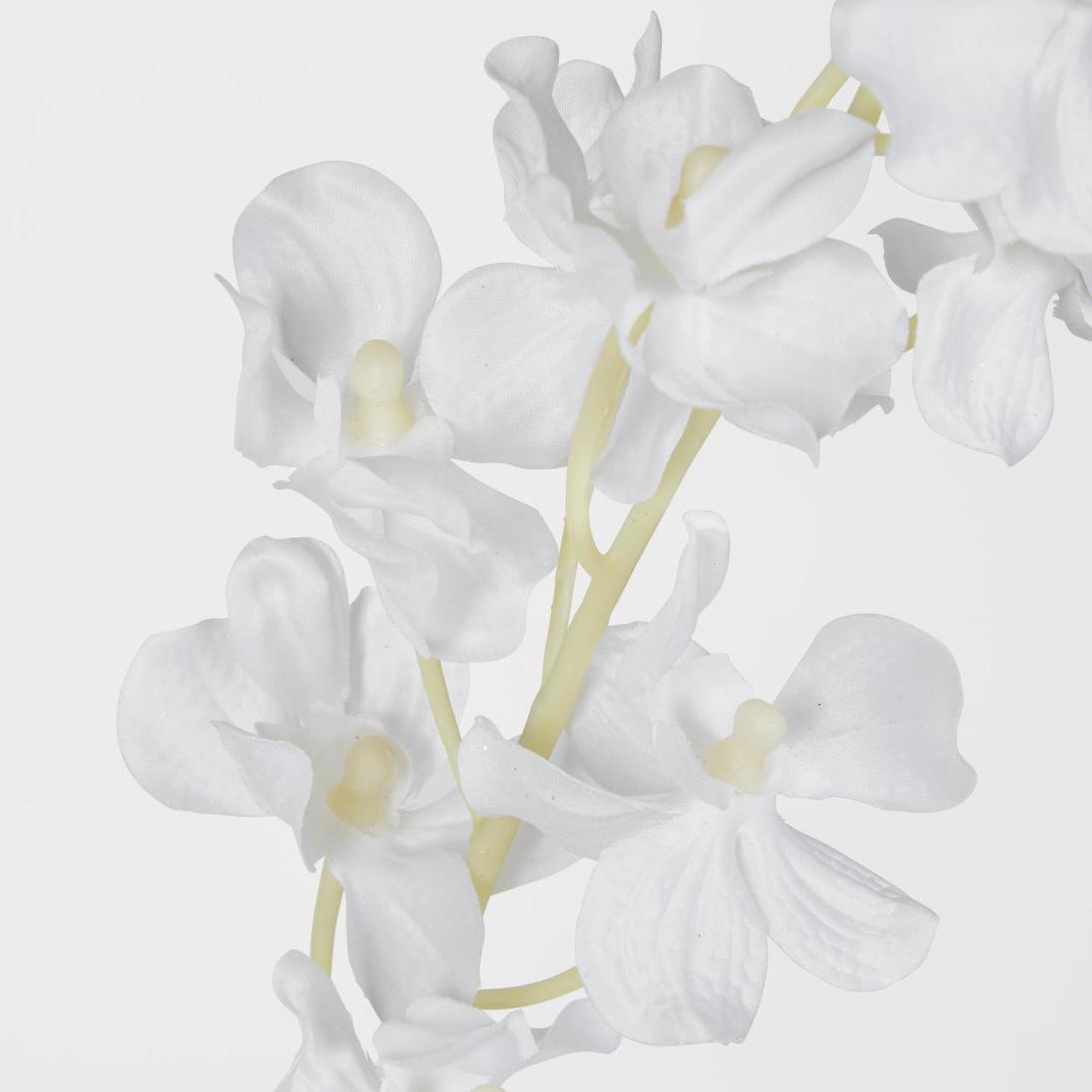 Dendrobium Orchid Spray White
