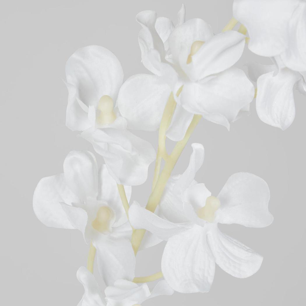 Dendrobium Orchid Spray White