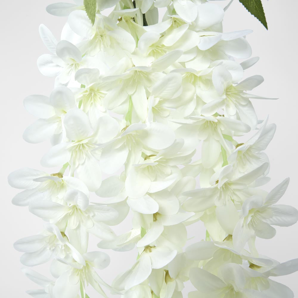 Hanging Vanda Orchid Spray White