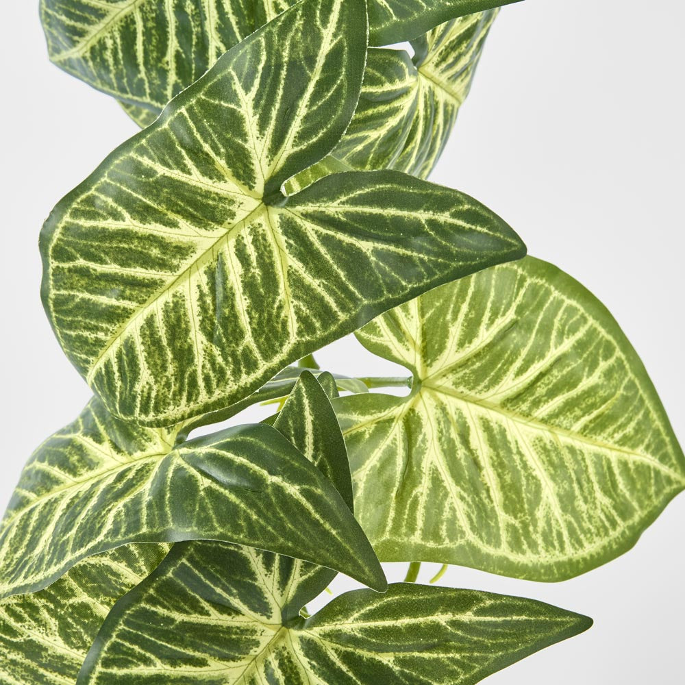 Variegated Taro Leaf Garland