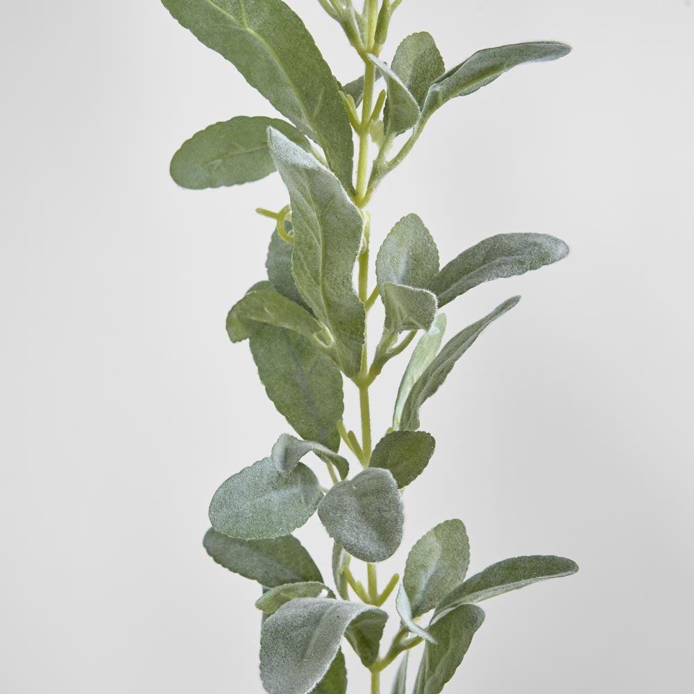 Lamb's Ear Garland
