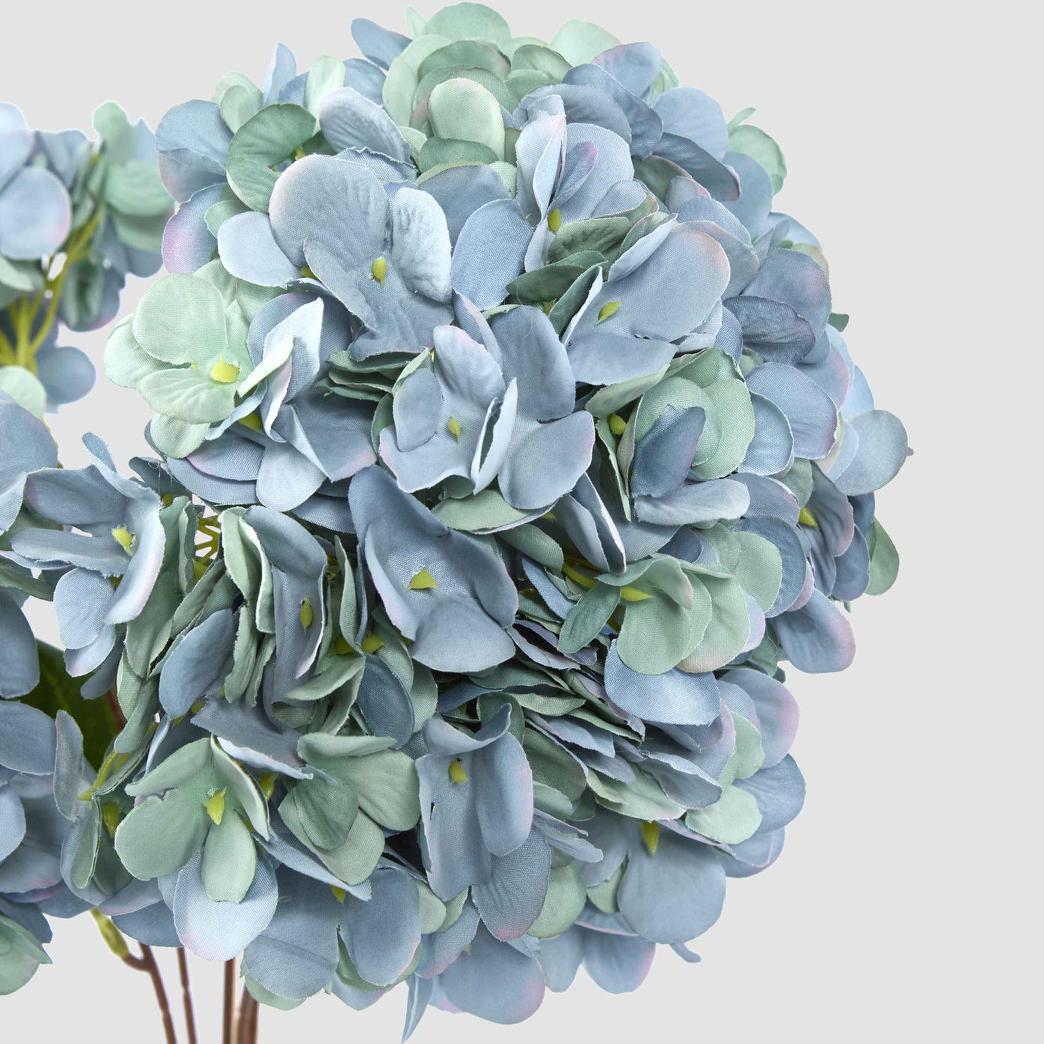 Hydrangea Bush Dark Blue