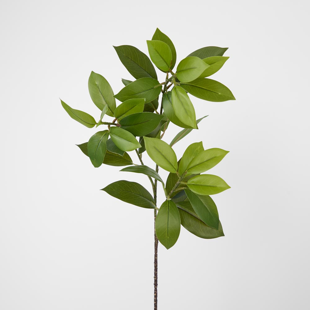 Decor Leaf Stem