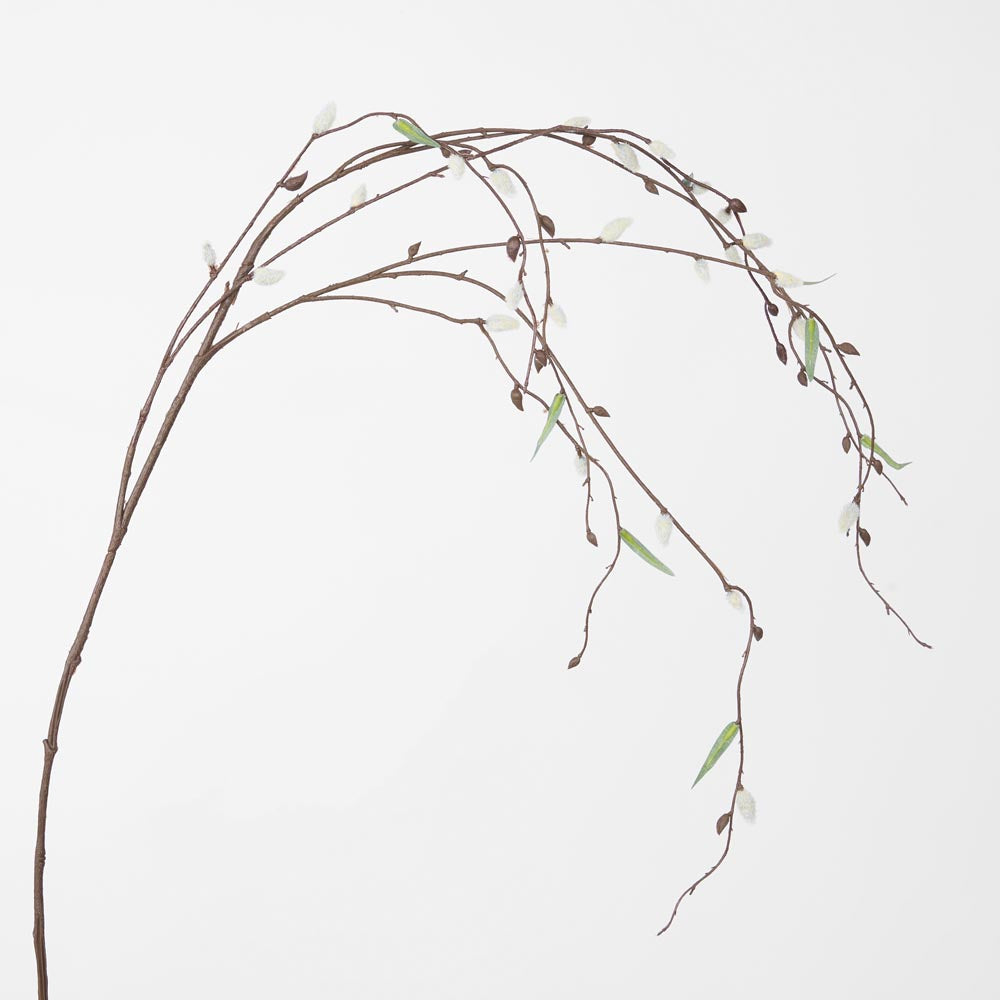 Pussy Willow Stem