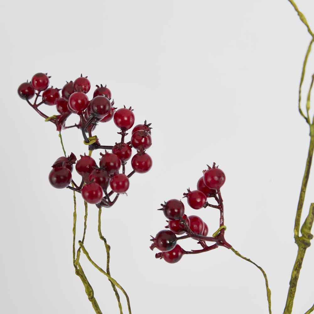 Berry Spray Red