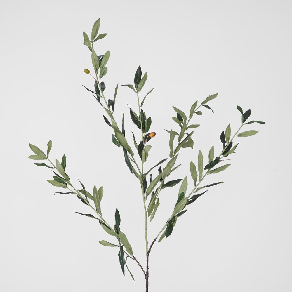 Olive Leaf Spray