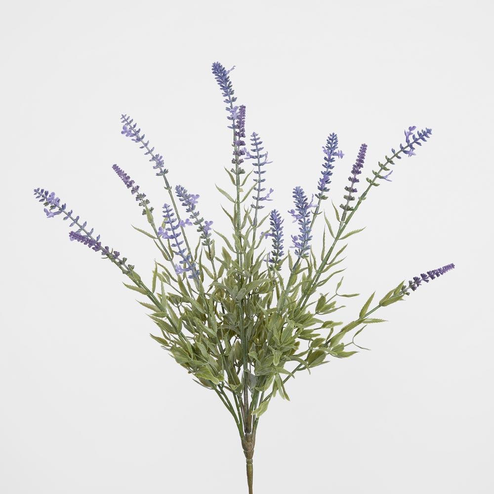 Lavender Bush Light Purple