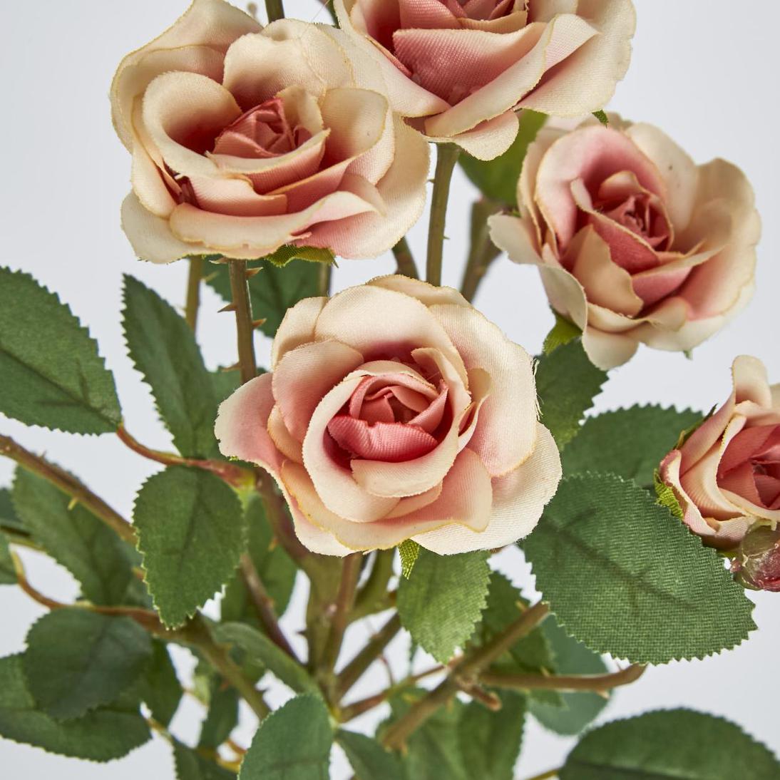Rose Spray x 10 Heads Peach