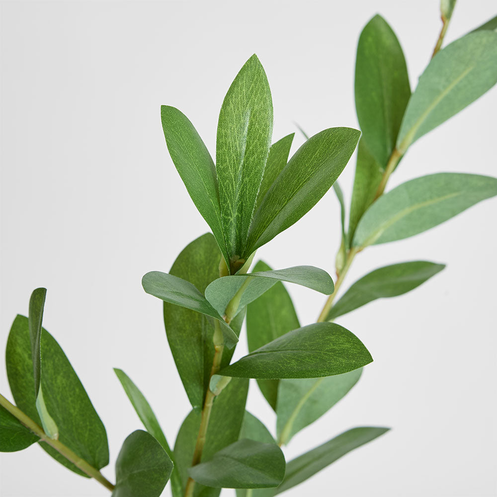 Ruscus Leaf Spray 101cm Green