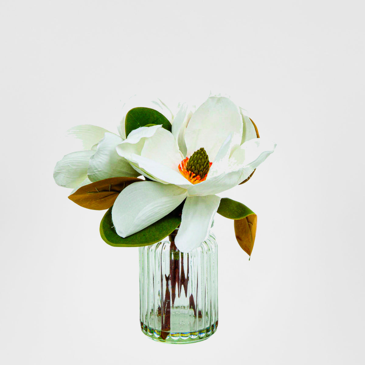 Magnolia in Glass Vase 30cm White