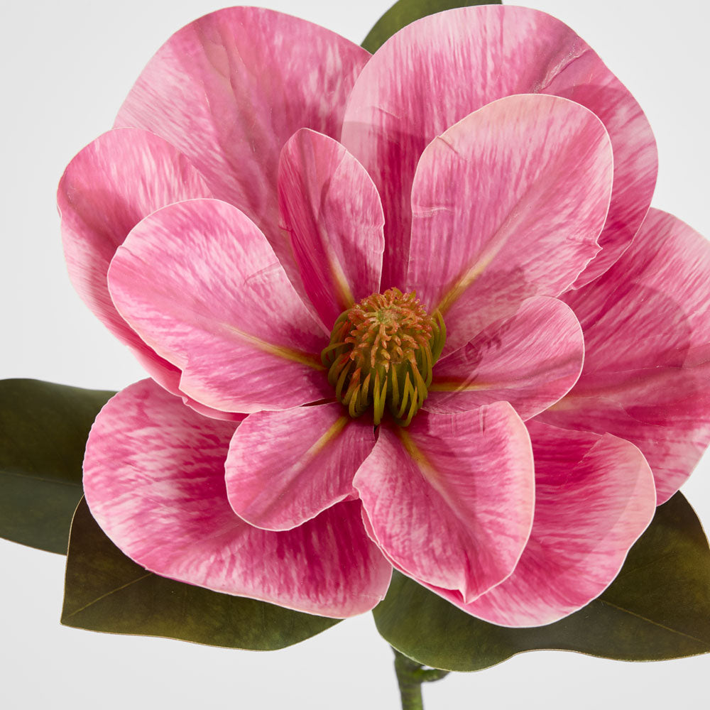 Gloriosa Magnolia Floral Stem Pink