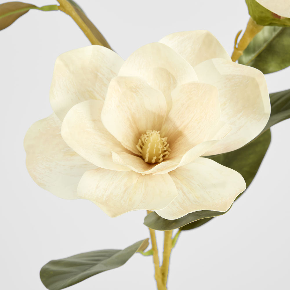 Gloriosa Magnolia Floral Spray Light Brown
