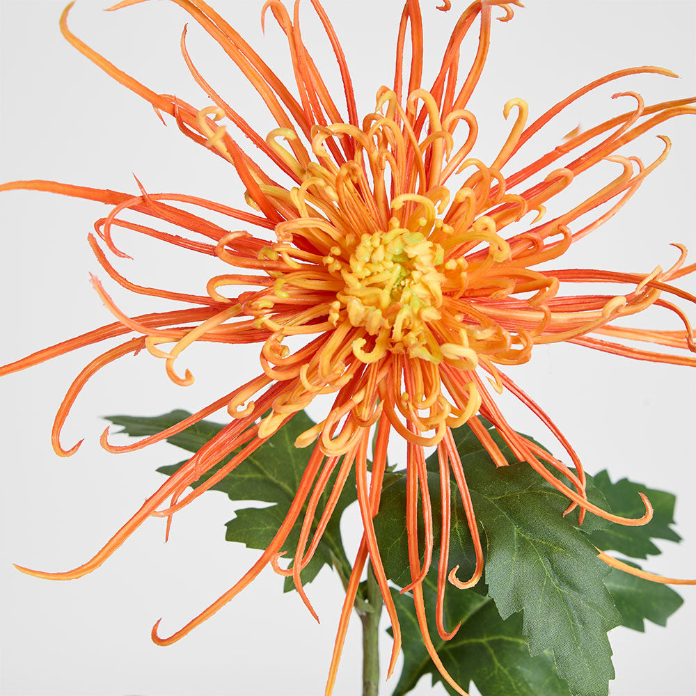Spider Mum Floral Stem 71cm Orange