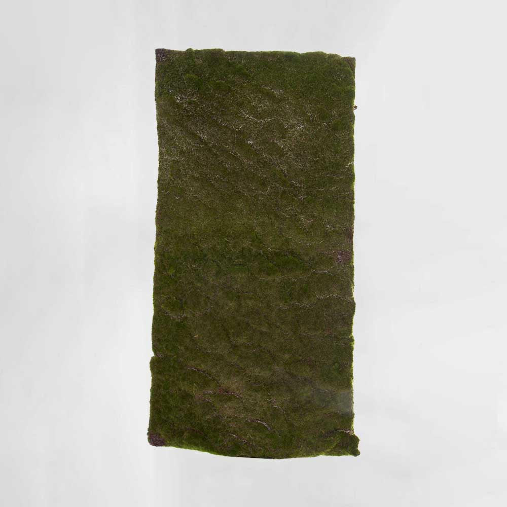 Moss Mat Large 100x50cm Green