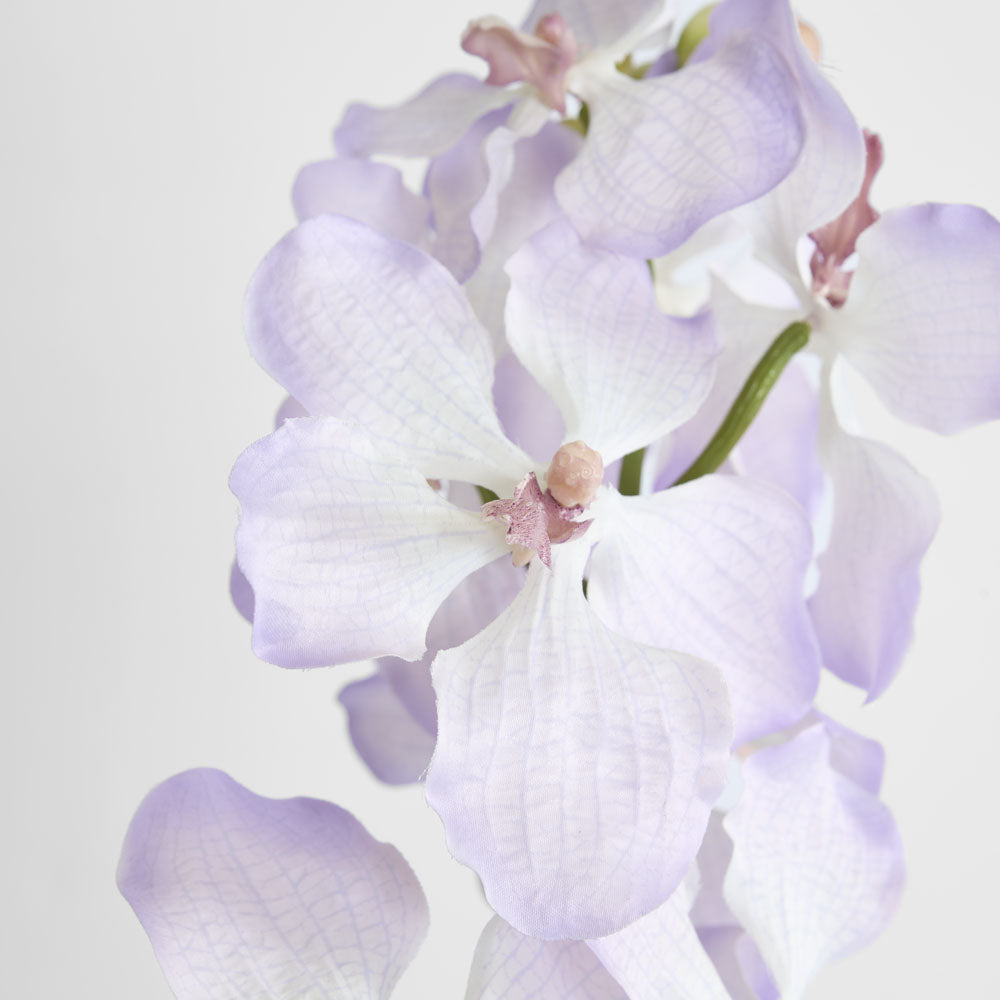 Dendrobium Orchid Spray Lilac