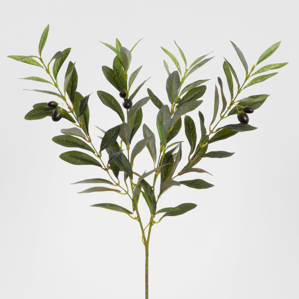 Olive Spray 90cm Green
