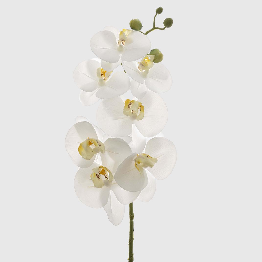 Orchid Phalaenopsis Spray Real Touch 70cm White