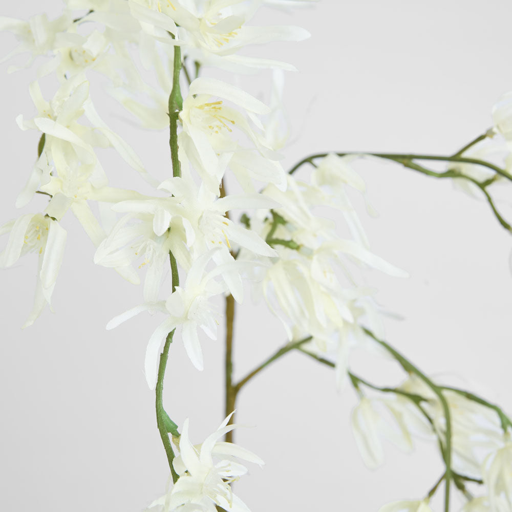 Orchid Spider Hanging 1.1m White