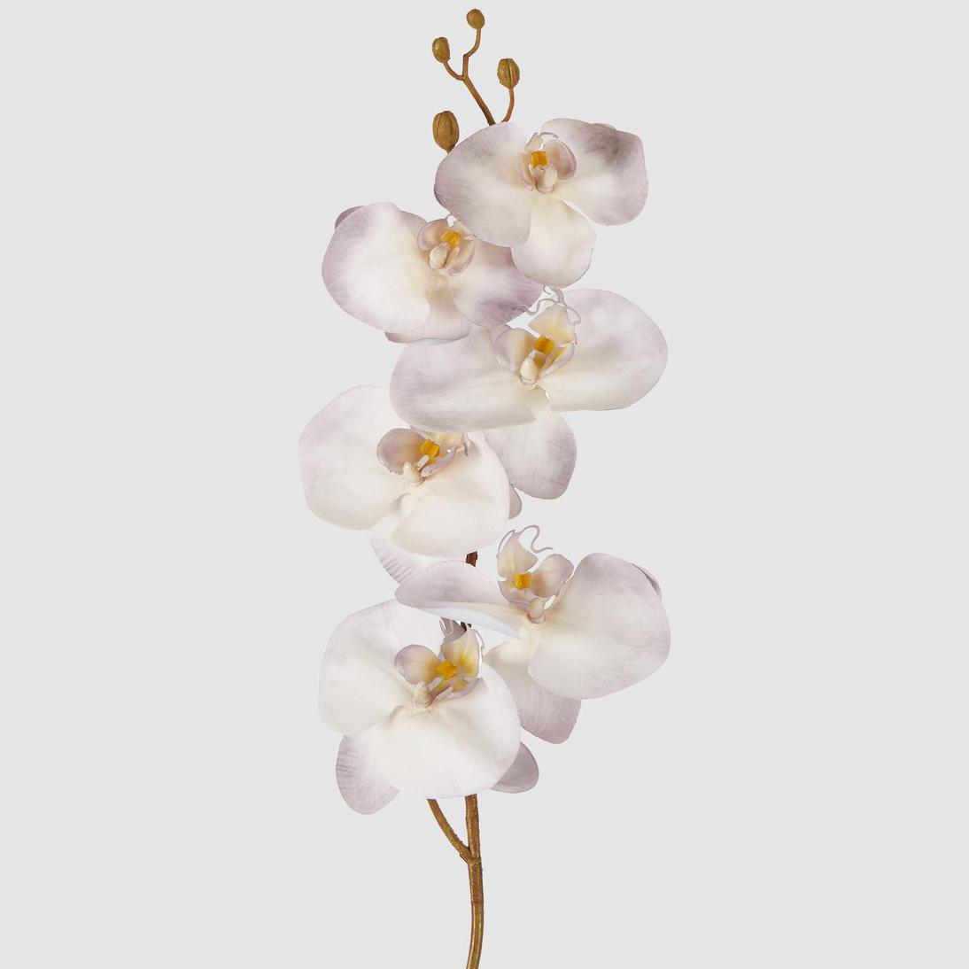 Orchid Stem 80cm Lavender