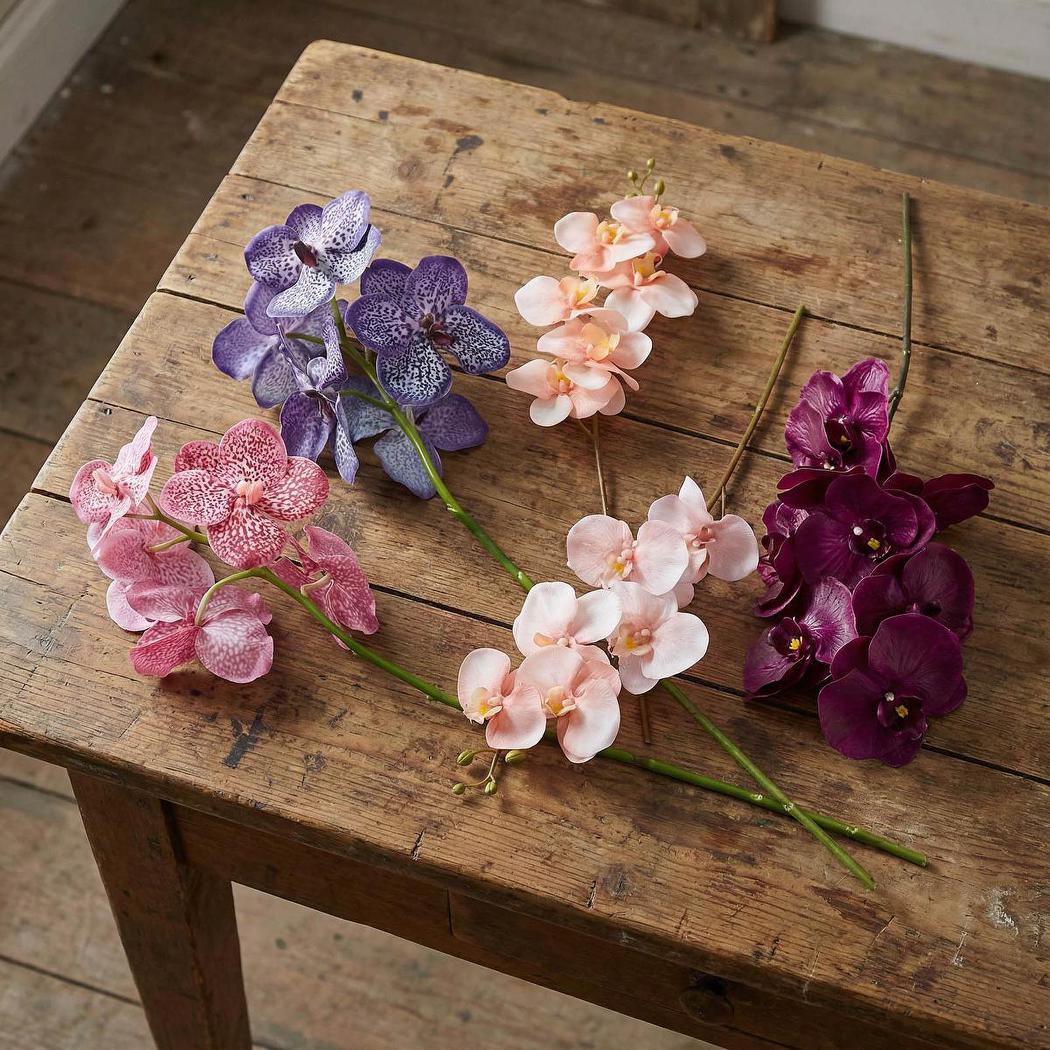 Orchid Single Phalaenopsis Stem 80cm Sunset