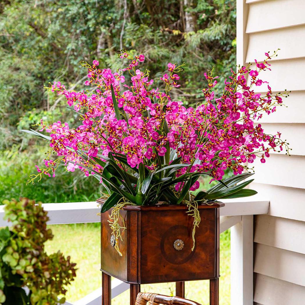 Lilly Dancing Orchid 98cm Pink