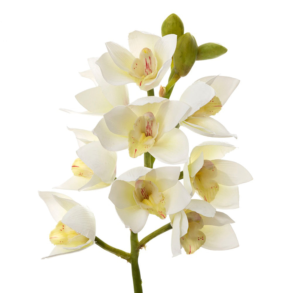 Orchid Cymbidium Spray 47cm White
